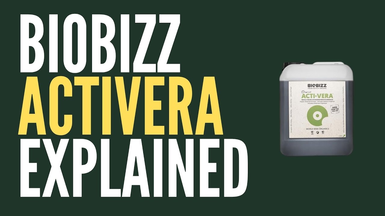Biobizz Activera Explained