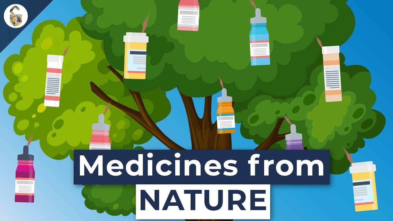 Lifesaving Medicines Made From Plants You've Never Heard Of