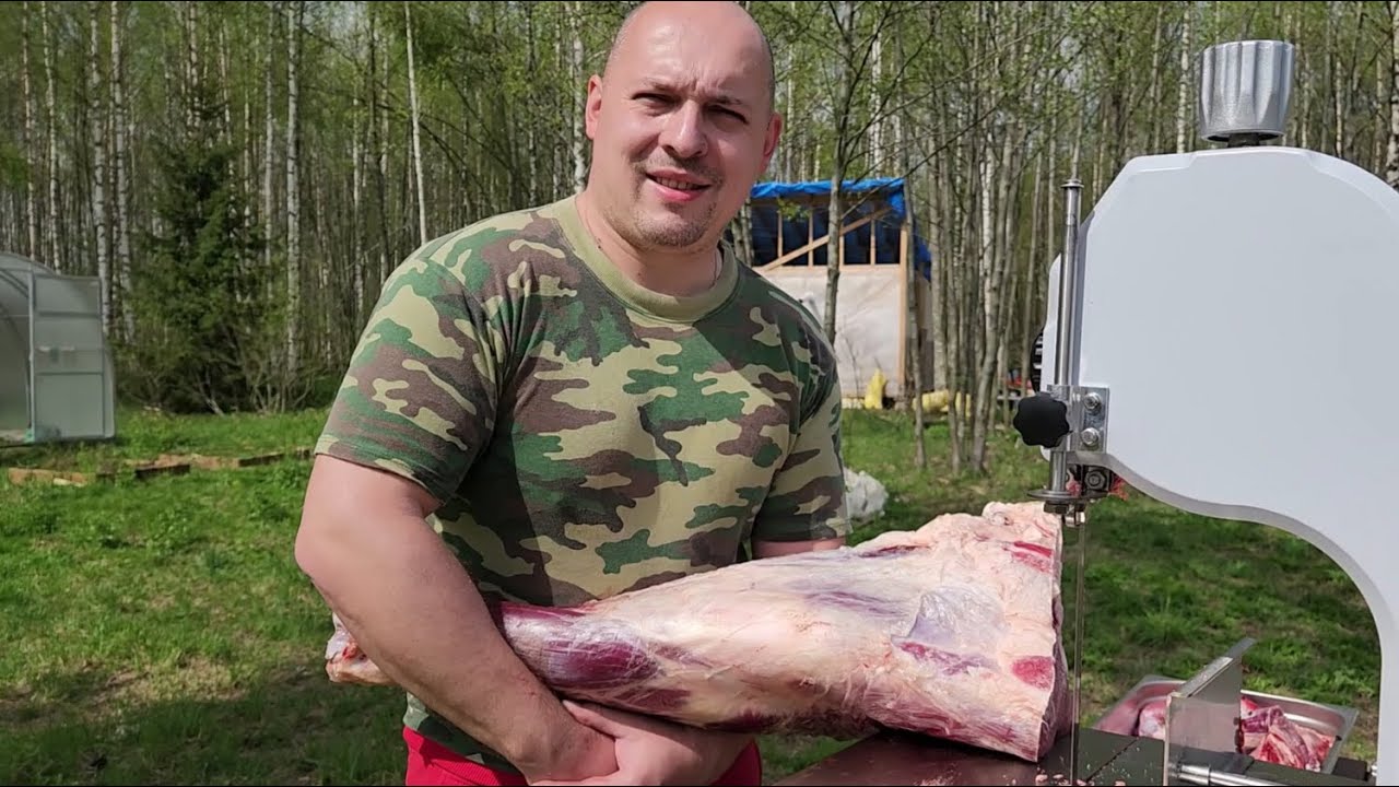 Купили пилу для резки мяса Airhot HSL-1650E. Закладываем яйцо утки СК-6. Заказываем мат-лы для дома.
