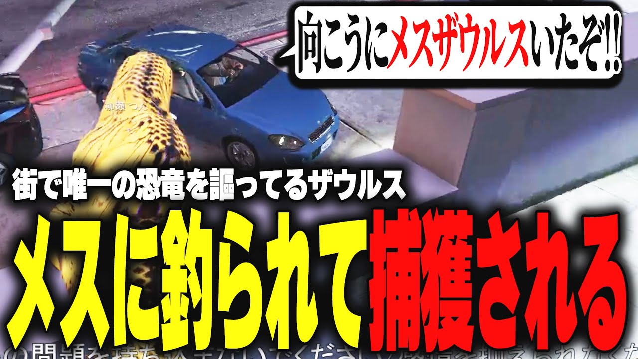 【ストグラ】メスザウルスに釣られて極悪犯罪者に捕獲されるオスザウルス【柳瀬つん/つんザウルス/切り抜き】