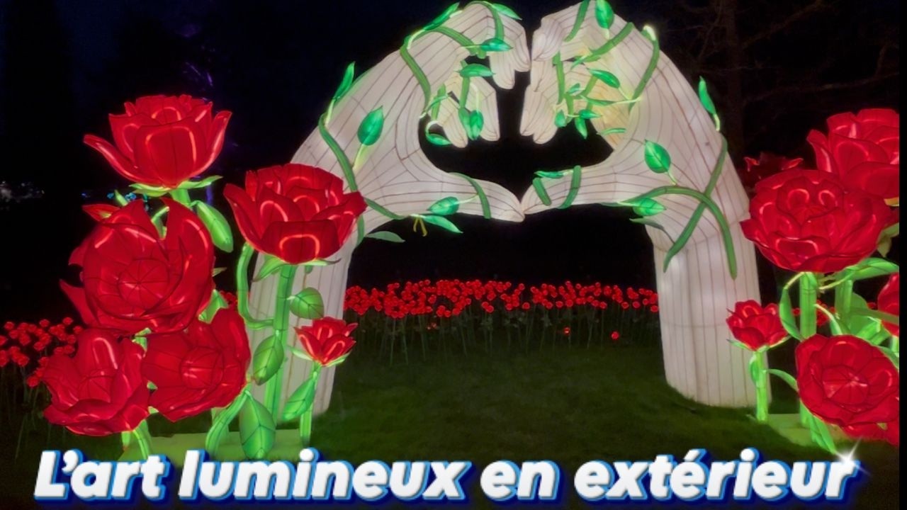 Balade Eblouissante dans le parc : Lumières, Animaux et Fleurs jour & nuit #nature #animaux #fleur