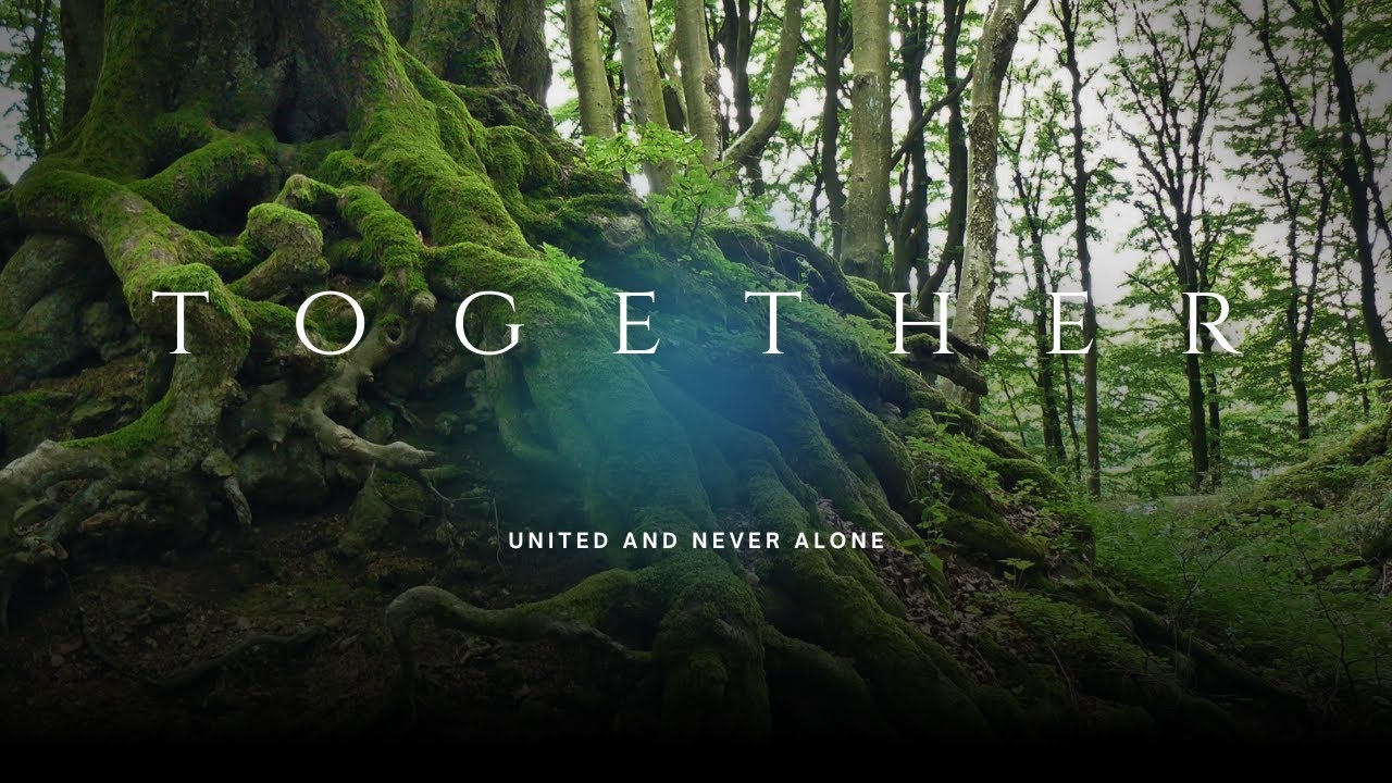 Roots Entwined | EnviroCare Poetry