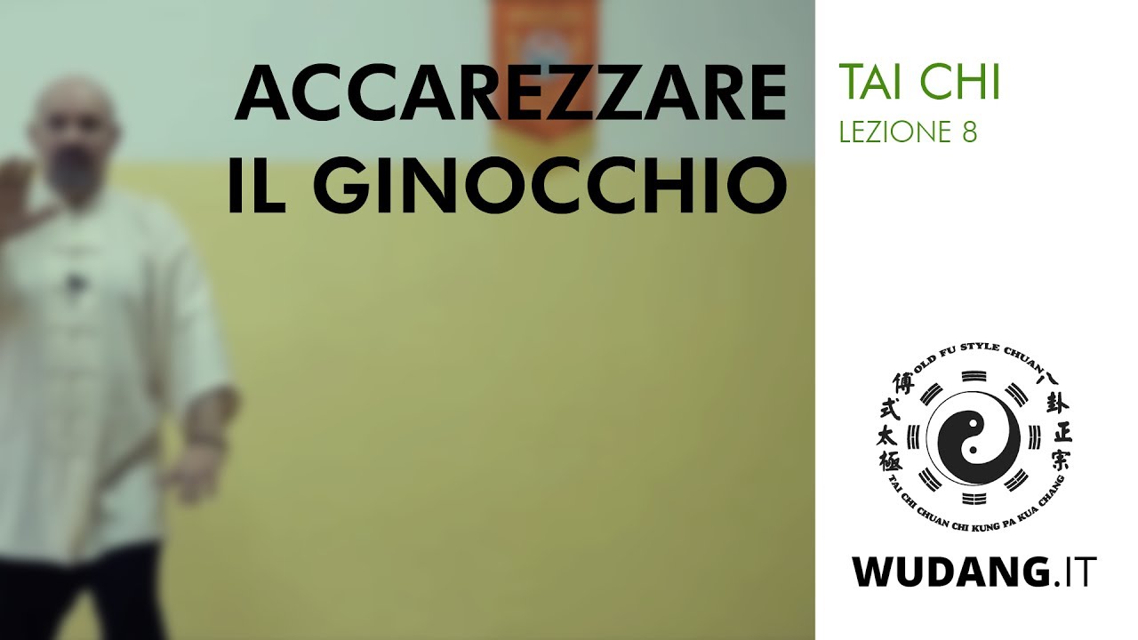 Tai Chi - Accarezzare il ginocchio - Lezione 8