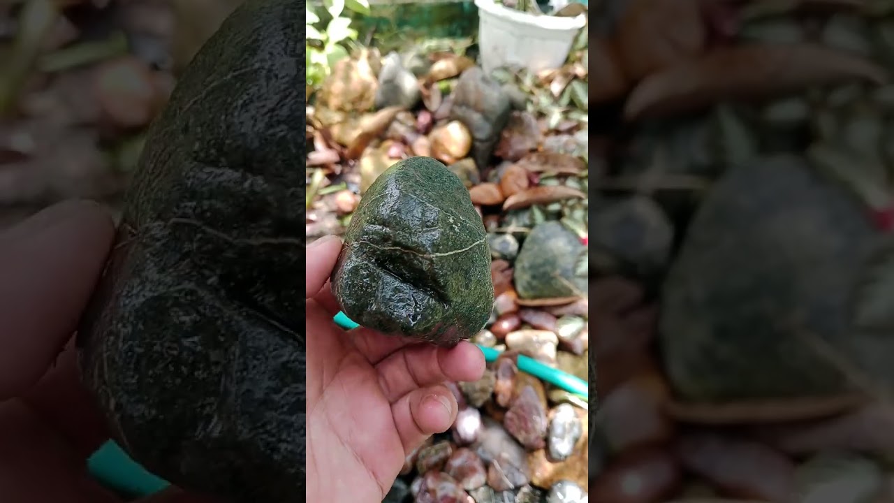 Aneka macam batu akik sungai Lokulo Kebumen@kingfahmi