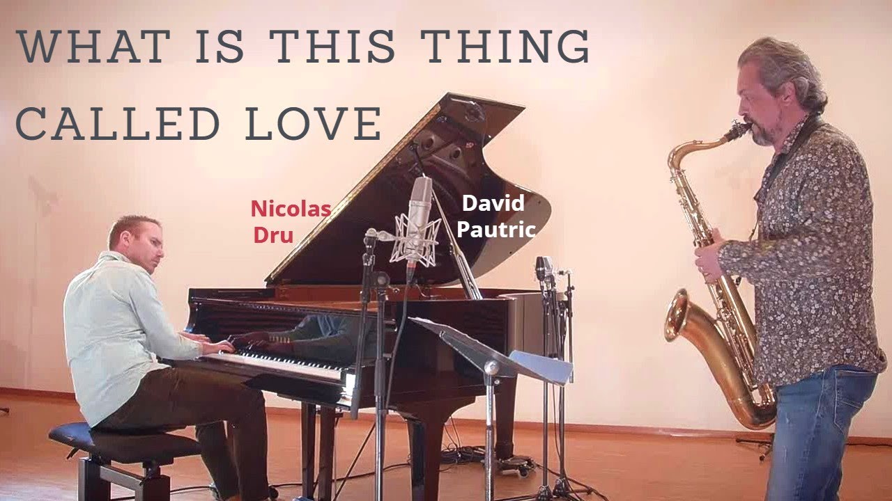WHAT IS THIS THING CALLED LOVE  (Cole Porter) - Nicolas Dru & David Pautric