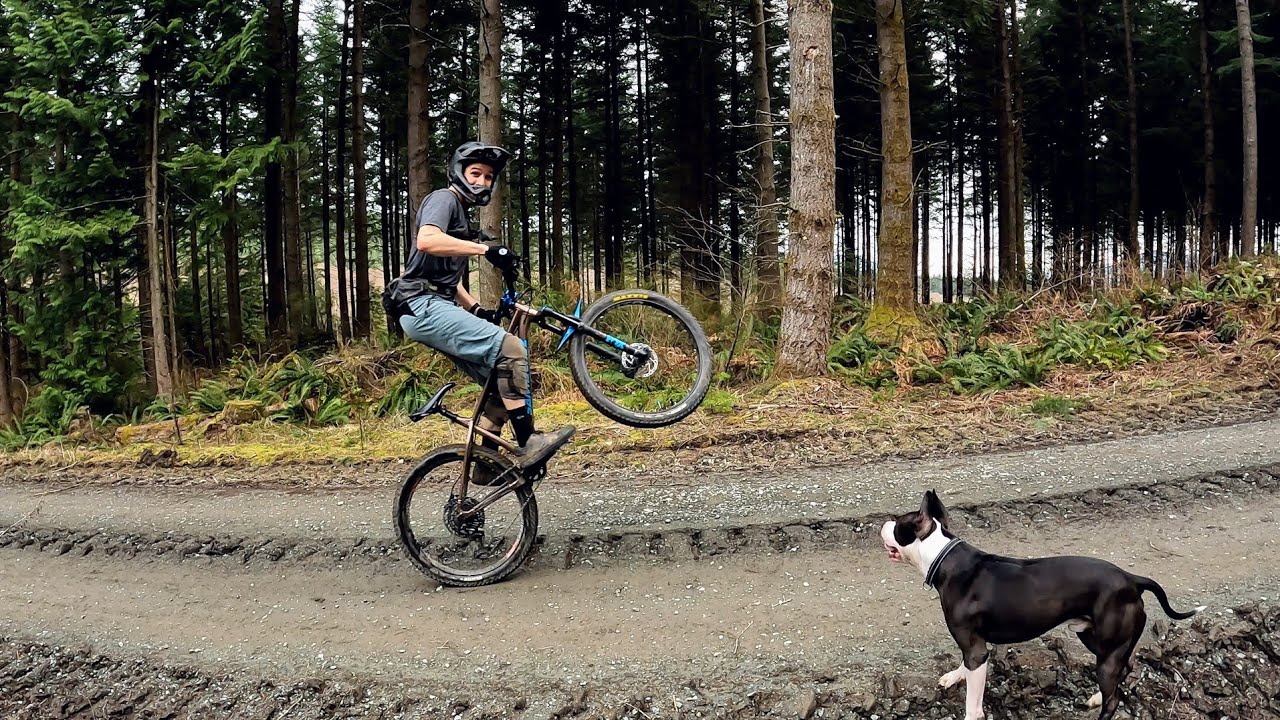 Best Hardtail MTB Trails on Galbraith, on a Santa Cruz Chameleon!