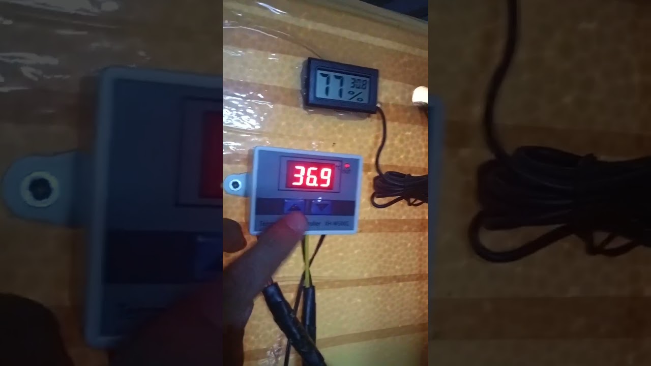 Paano magsetup ng temperature sa XH-W3001 thermostat? #incubator