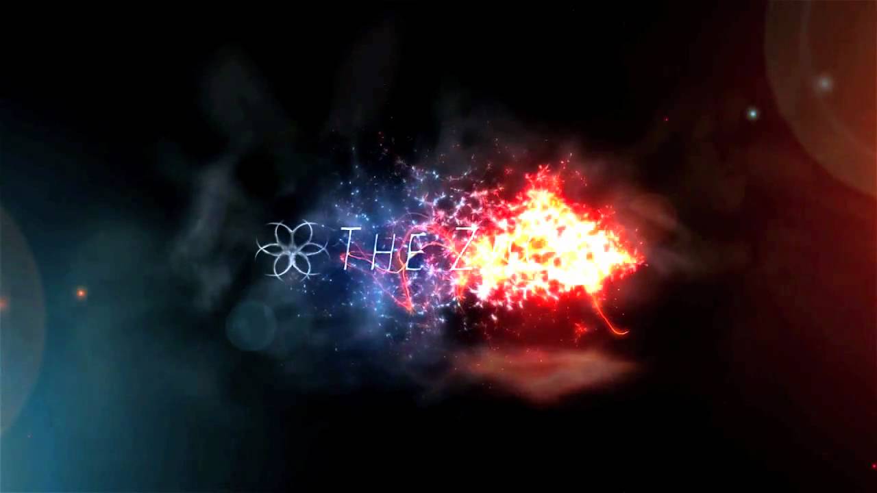ZiiC | fLUX2