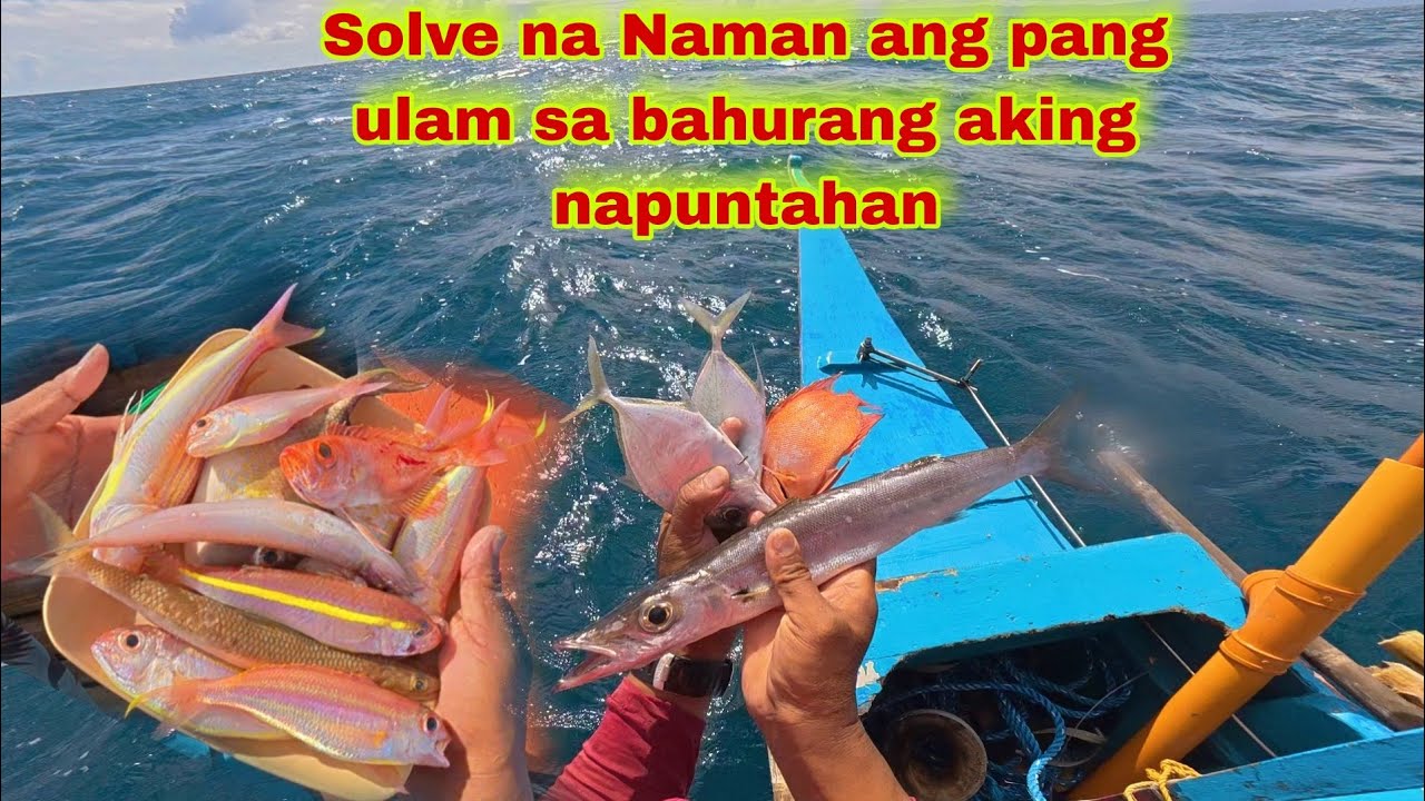 Matumal Ang sibad Ng mga isdang bato sa bahurang napuntahan ko | Tamang pang ulam lang ang nakayanan