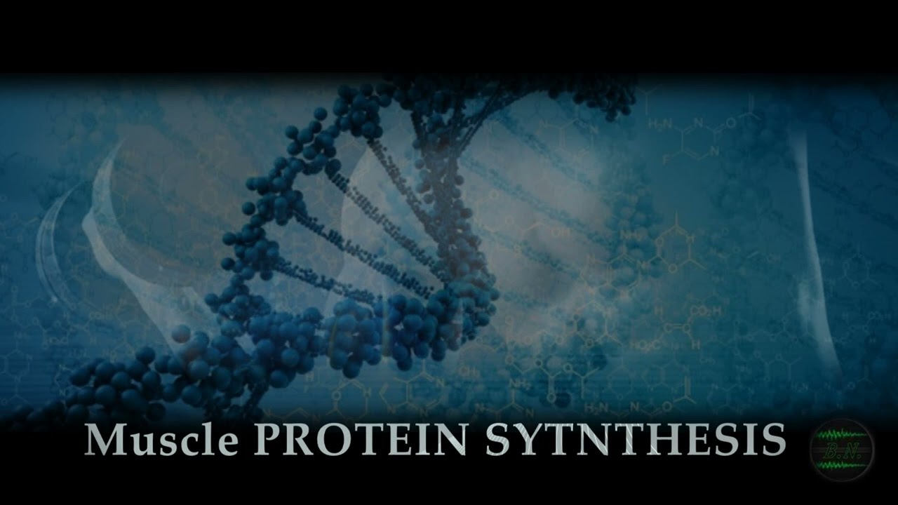 MUSCLE PROTEIN SYNTHESIS (MPS) | Enhanced Anabolic Processes | Binaural Beats & Subliminal Messages