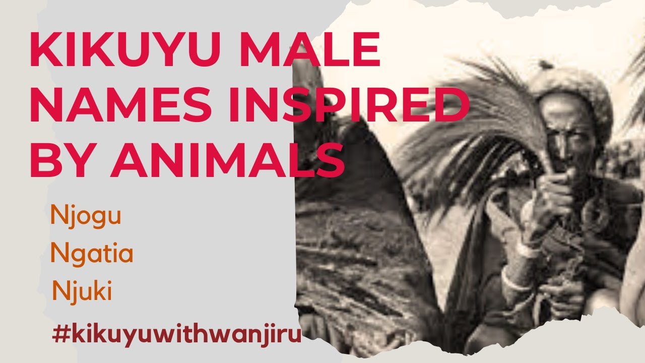 Kikuyu People's Names Inspired By Animals
