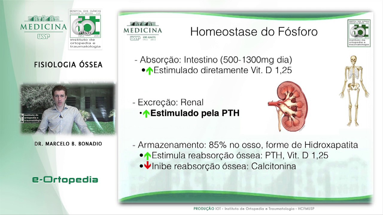 Fisiologia Óssea - Dr. Marcelo Bonadio