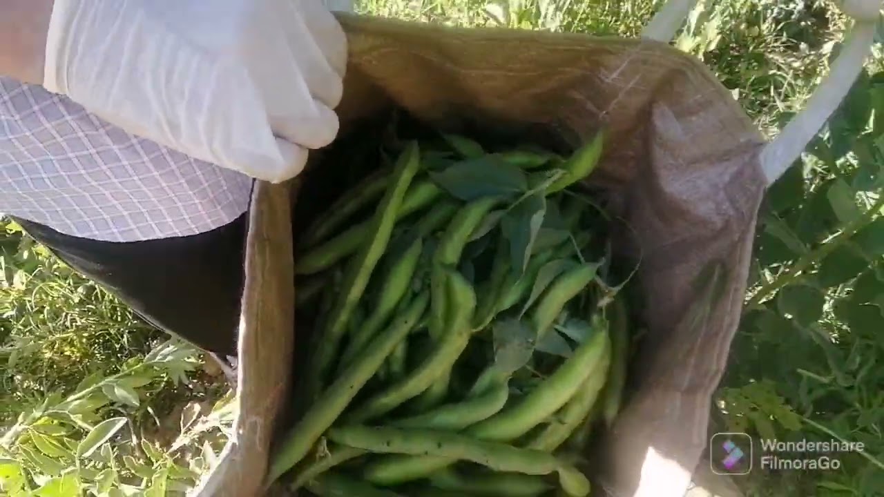 جولة في طبيعة إقليم تاونات ( عين مديونة)