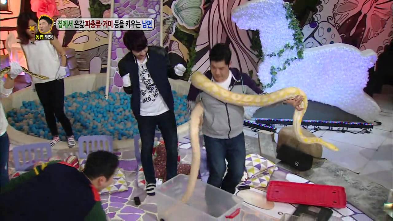 [HIT]4m 뱀 레틱파이톤 등장에 투하트 질색 안녕하세요.20140331