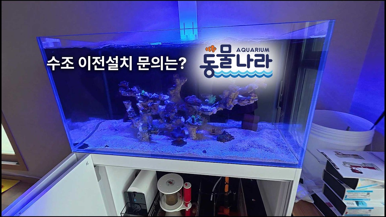 청담동 수조 이전 설치 과정
