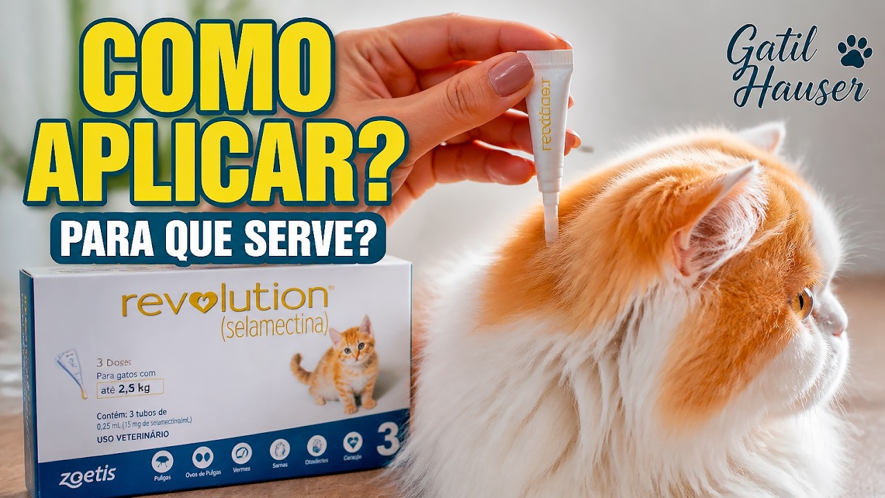 REVOLUTION pipeta para GATOS: pulga, piolho, carrapato...  - Gatil Hauser
