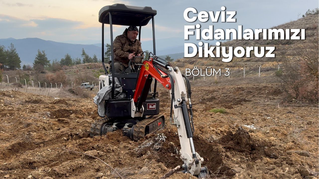 Çiftlik Kurulumunda İlk Adım: Ceviz Fidanlarını Toprakla Buluşturduk!