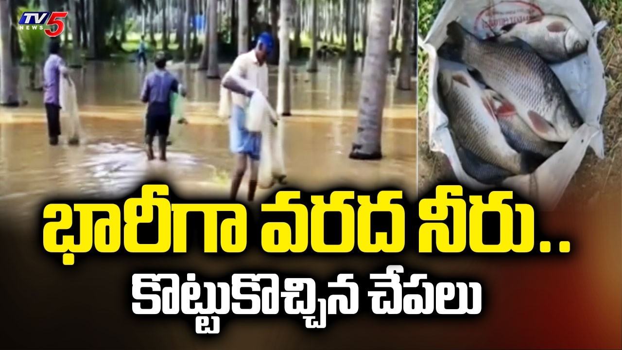 Godavari Flood Waters In Lanka Villages | Konaseema District | TV5 News