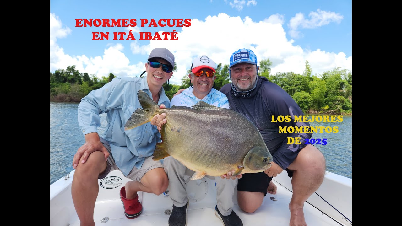 MEJORES MOMENTOS DEL 2025 - PESCAMOS ENORMES PACÚES EN ITÁ IBATÉ - EL PATO TV 1225