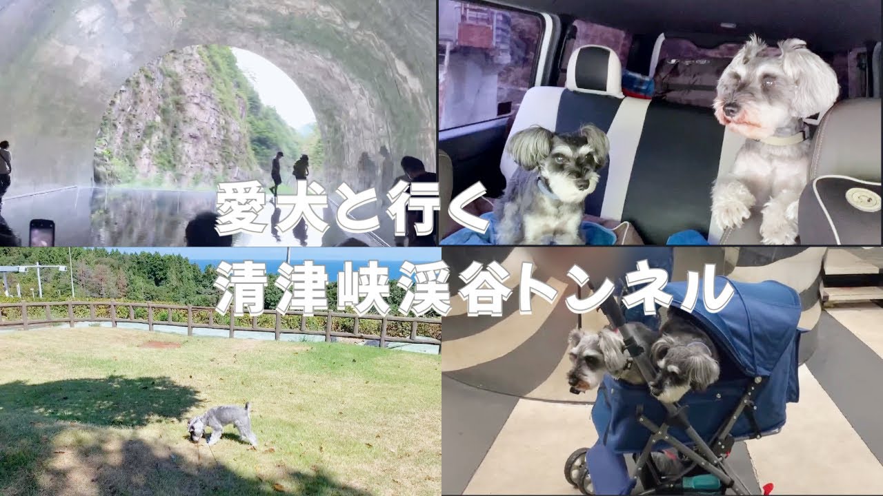 清津峡渓谷トンネルに愛犬と行ってきた（vlog）