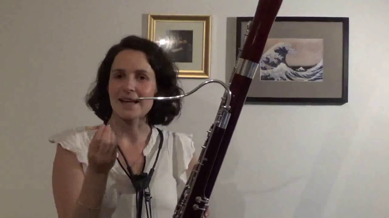 Instrumentenvorstellung Fagott Musikschule Friedberg