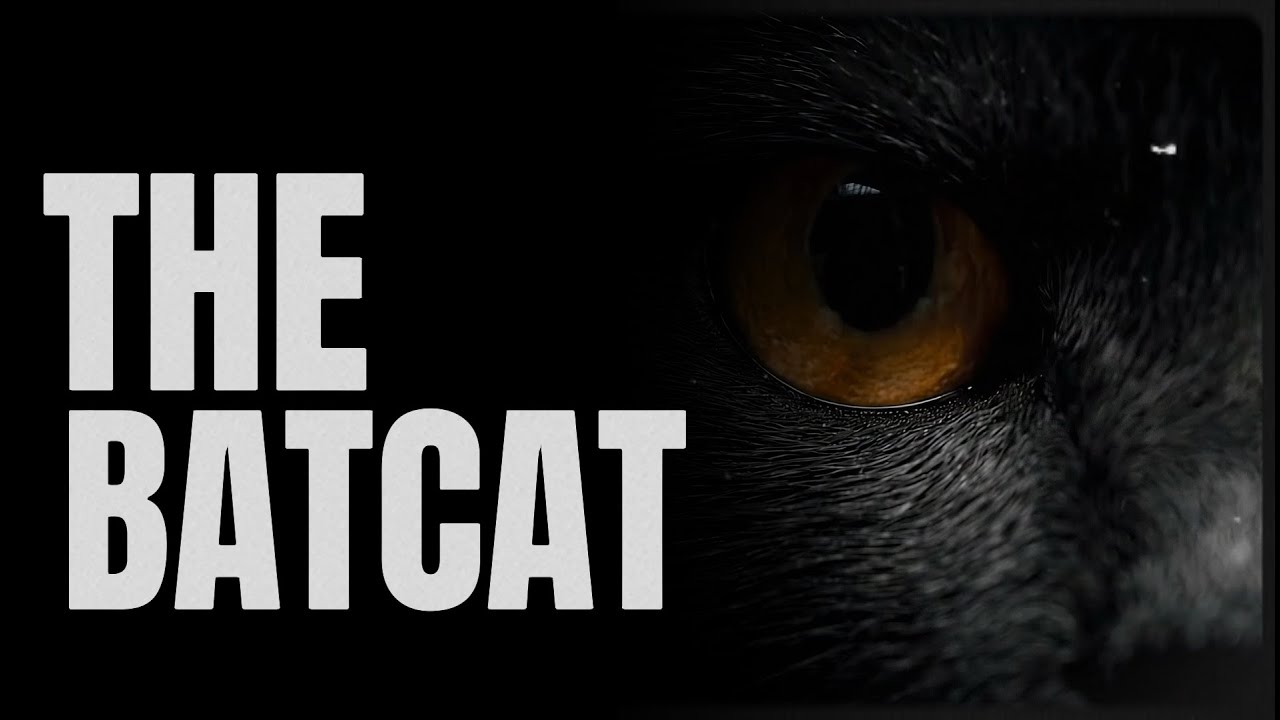 THE BATCAT - Official Trailer (Batman Movie 2025)