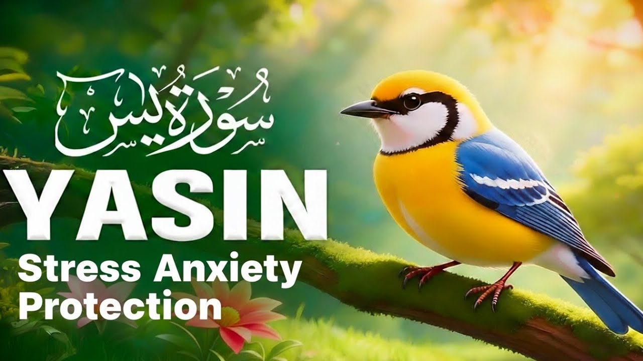 Surah Yaseen (Yasin) (سورة يس) | Stress Relief & Deep Sleep Quran Recitation 
