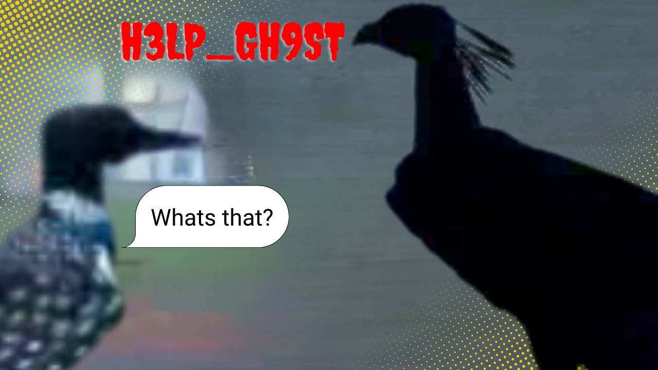H3LP_GH9ST - a feather family Creepypasta