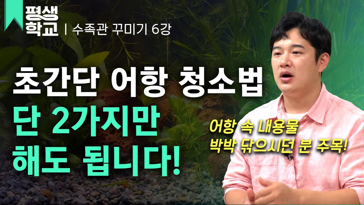 [#EBS평생학교] 6강 쉽게 따라 하는 어항 청소│강성원의 수족관 꾸미기