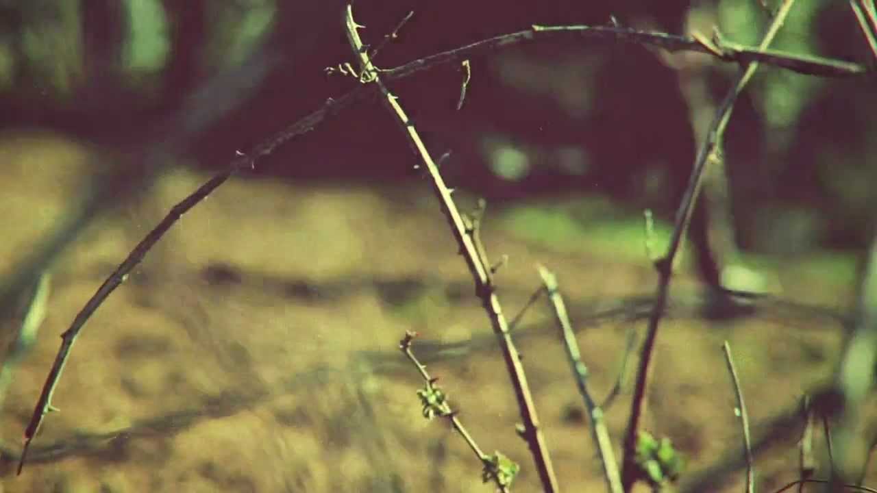 Scorpions - Aleyah