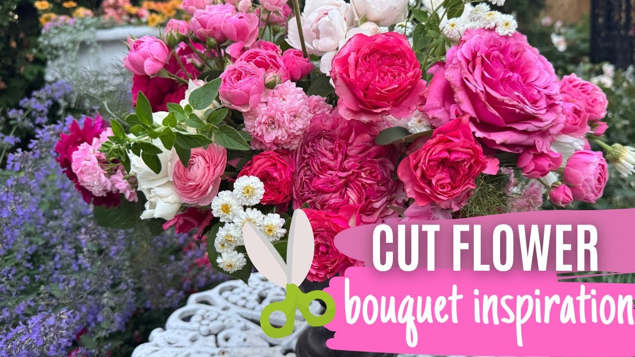 🌸 A Year in My Flower Garden: From Spring to Fall (2025)
