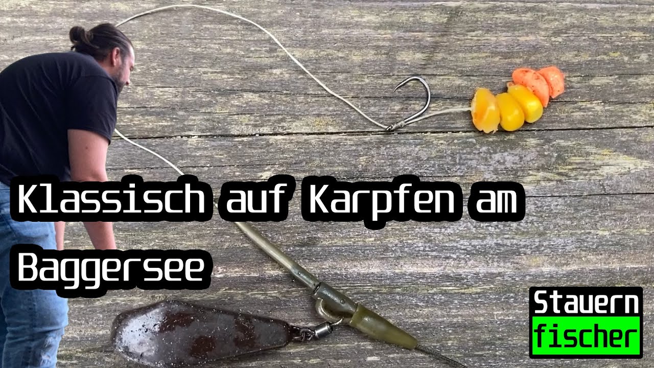 Total simpel auf Karpfen - mit Mais am Baggersee #stauernfischer