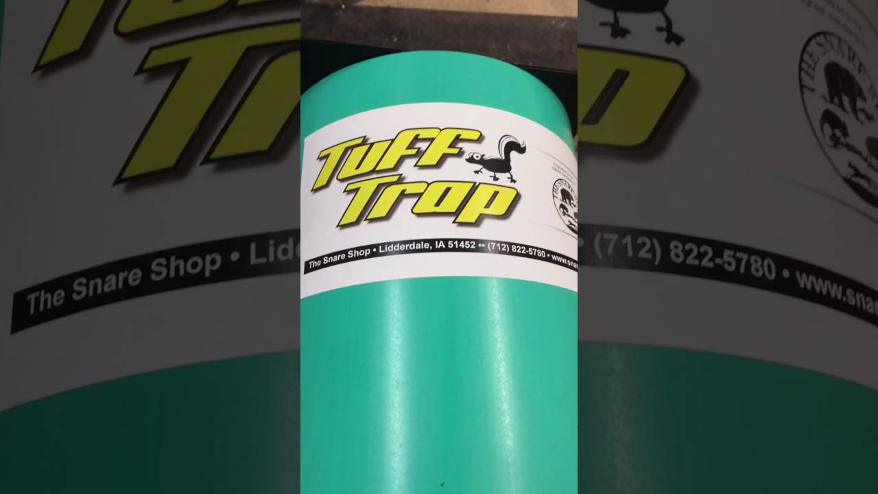 Tuff Trap Skunk Trap Operation