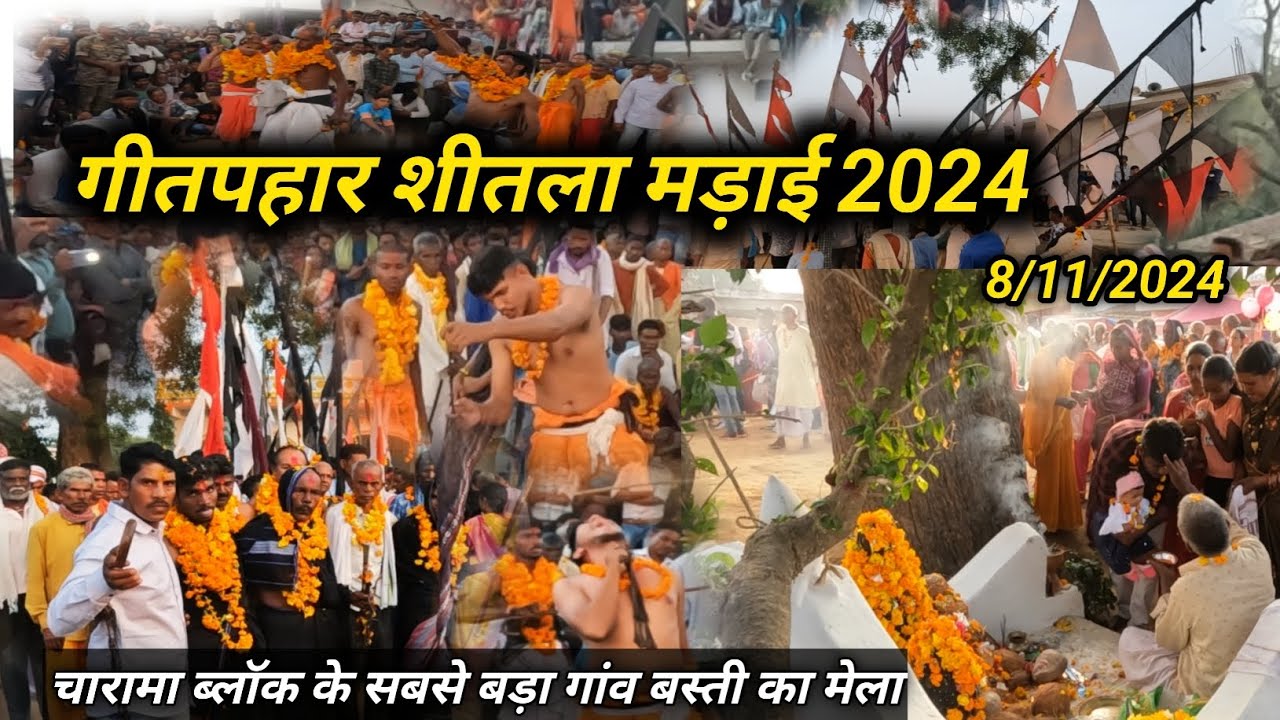 गीतपहार शीतला मड़ाई 2024 | चारामा ब्लॉक के सबसे बड़ा गांव बस्ती का देव मड़ई | gitpahar mela 2024