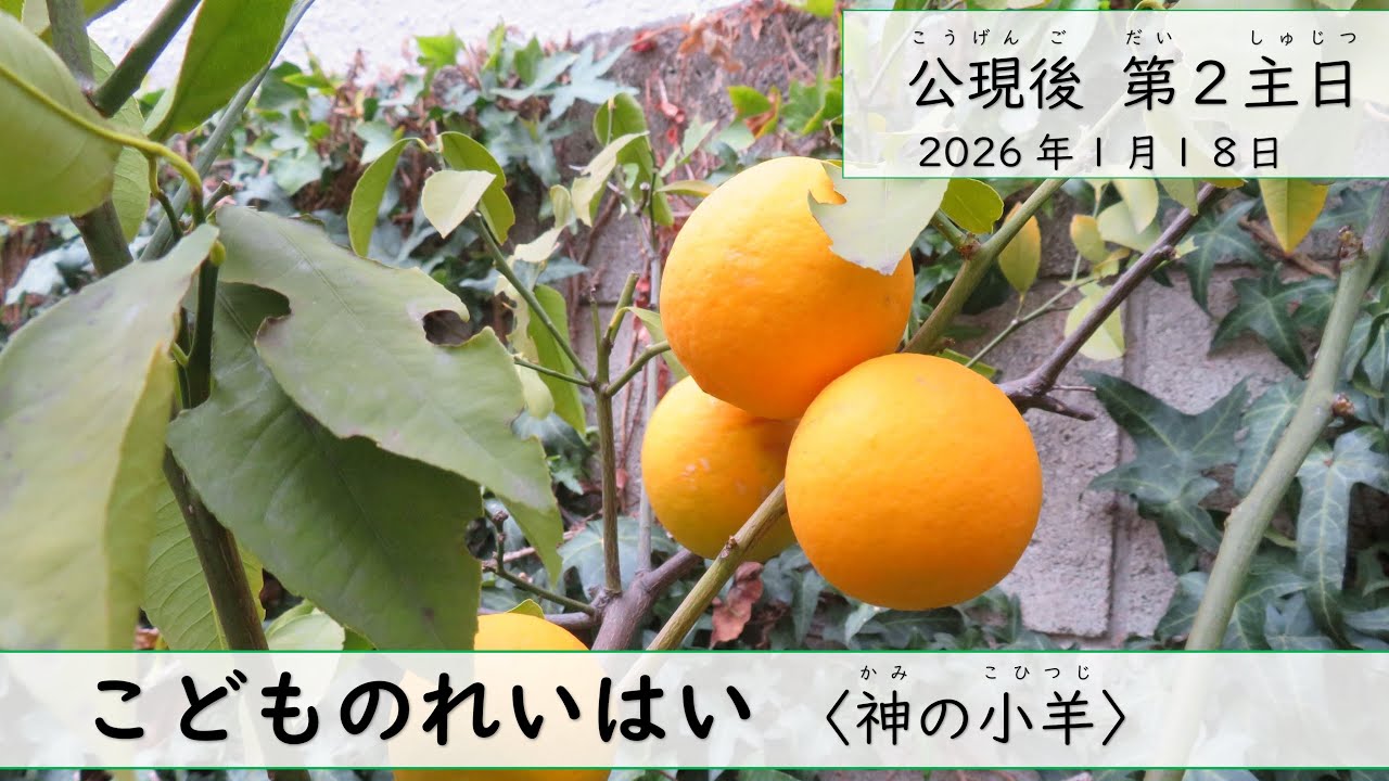 公現後 第２主日〈神の小羊〉１月１８日