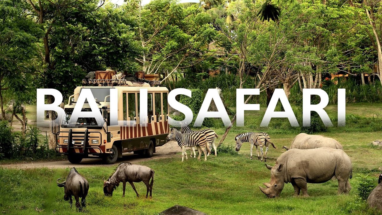 UNBELIVABLE BALI SAFARI | Taman Bali Safari & Marine Park Full Tour