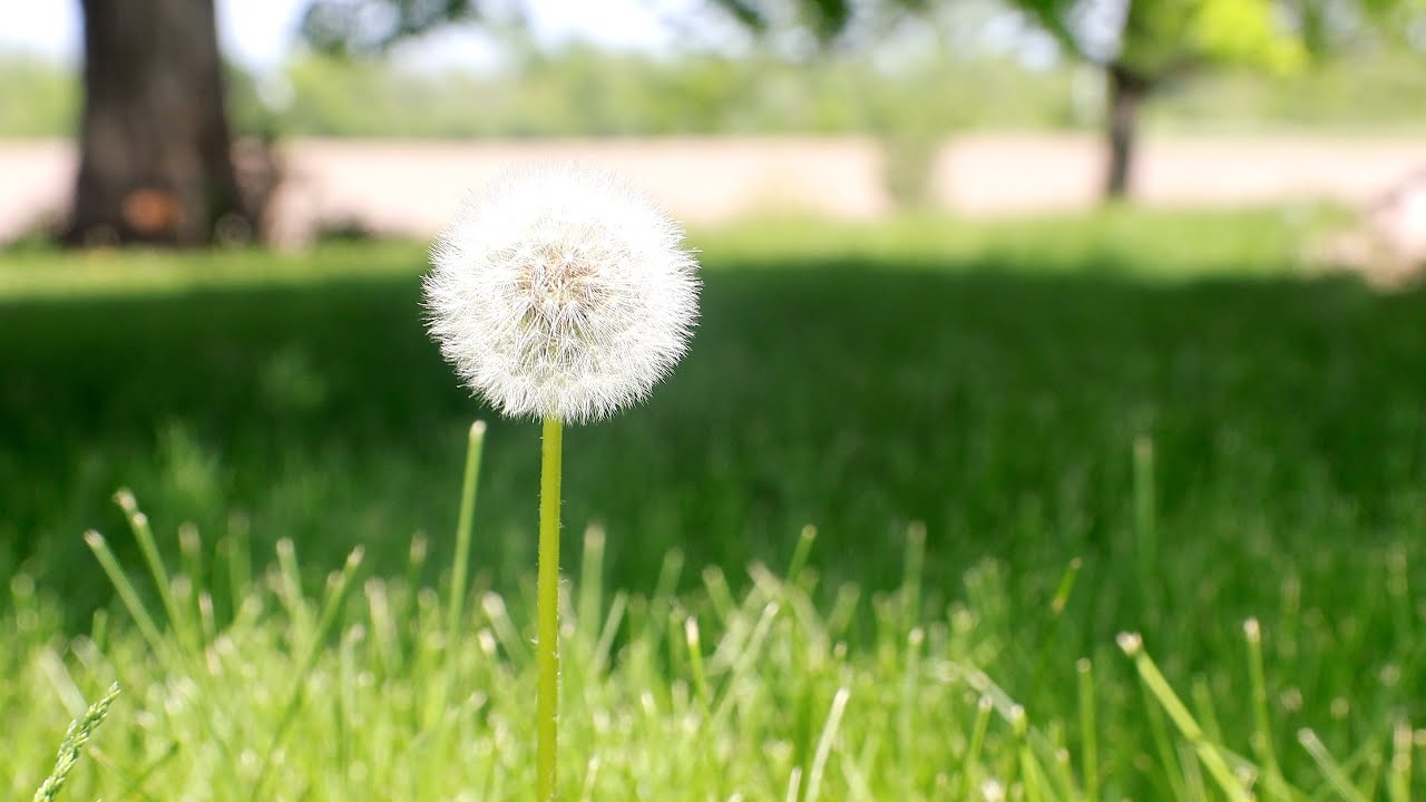 Slow Living Ways of Homemaking :)