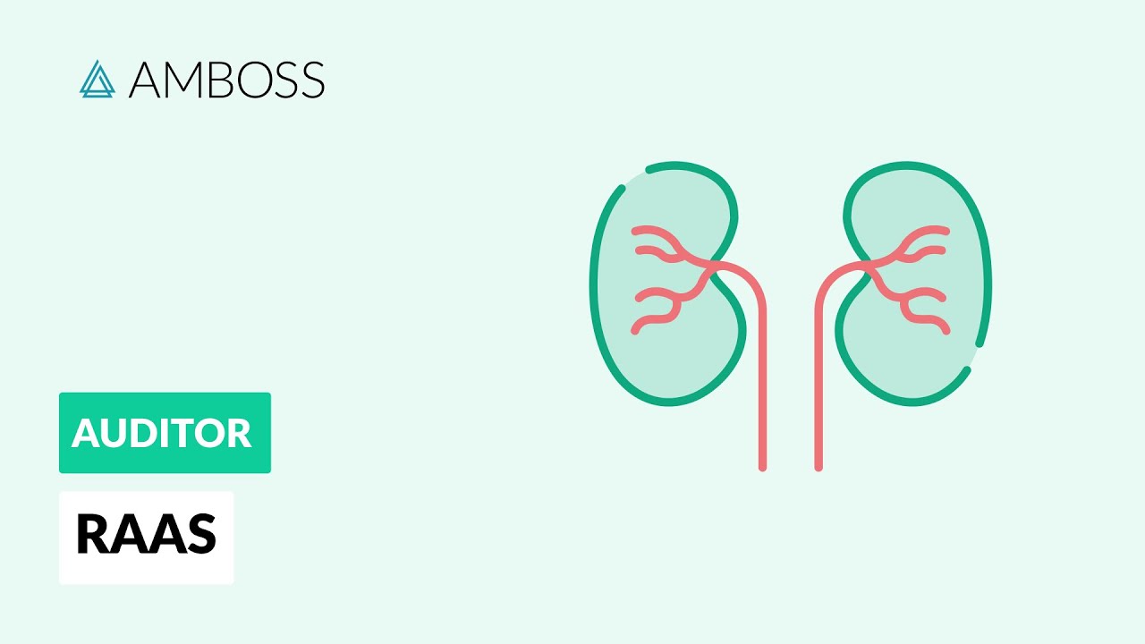 RAAS - Das Renin-Angiotensin-Aldosteron-System - AMBOSS Auditor