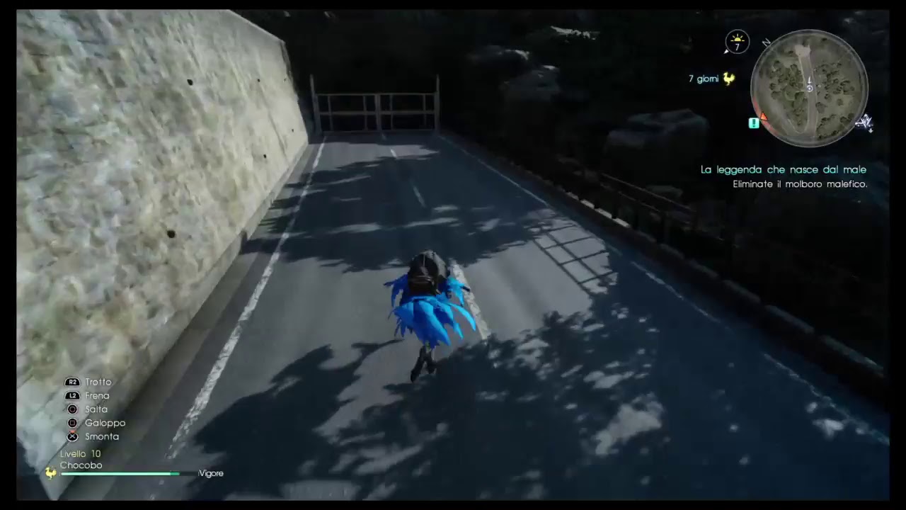 FINAL FANTASY PORTONI SEGRETI