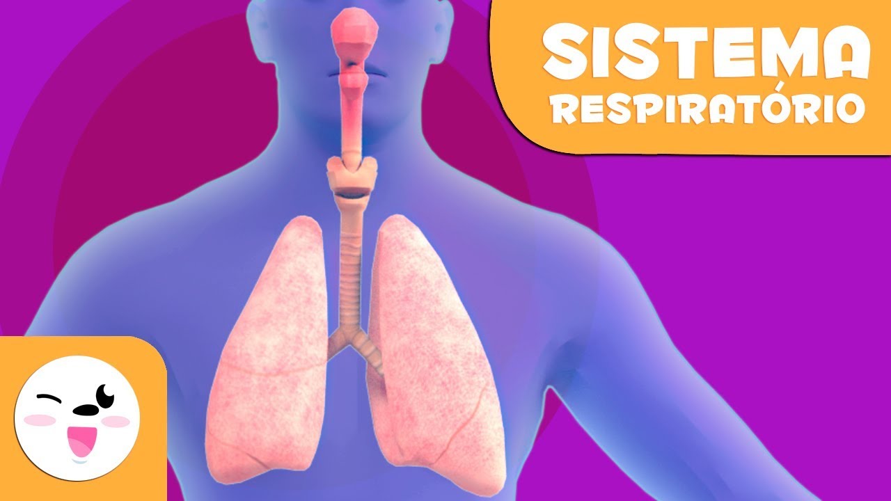 Sistema Respirat&oacute;rio | Corpo Humano para crian&ccedil;as