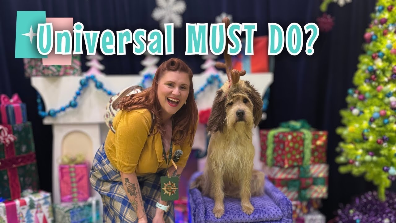Ваш гид по туру Universal Holiday: что включено + полезные советы