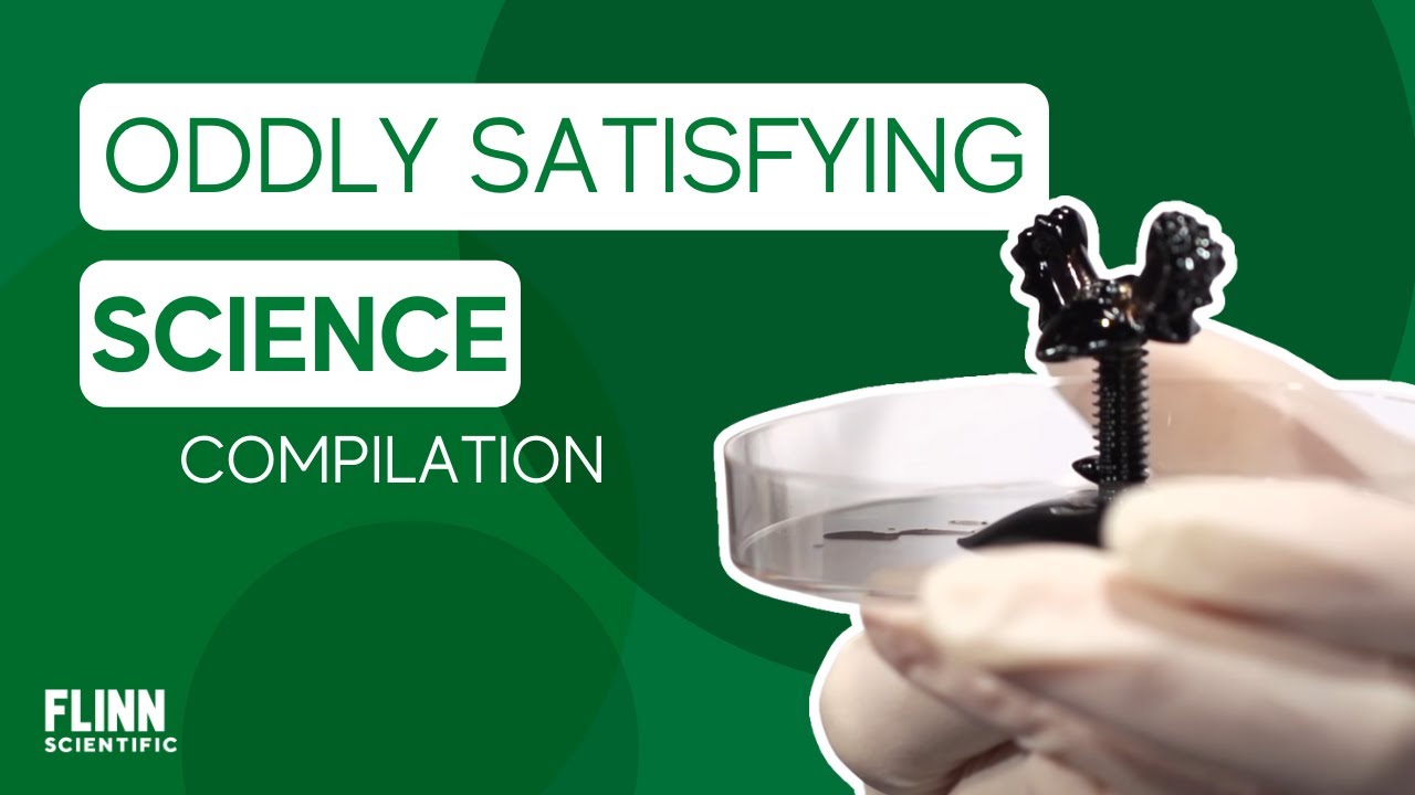 Oddly Satisfying Science Compilation