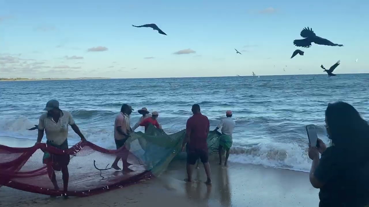 Bountiful harvest of fresh fish using ma-del