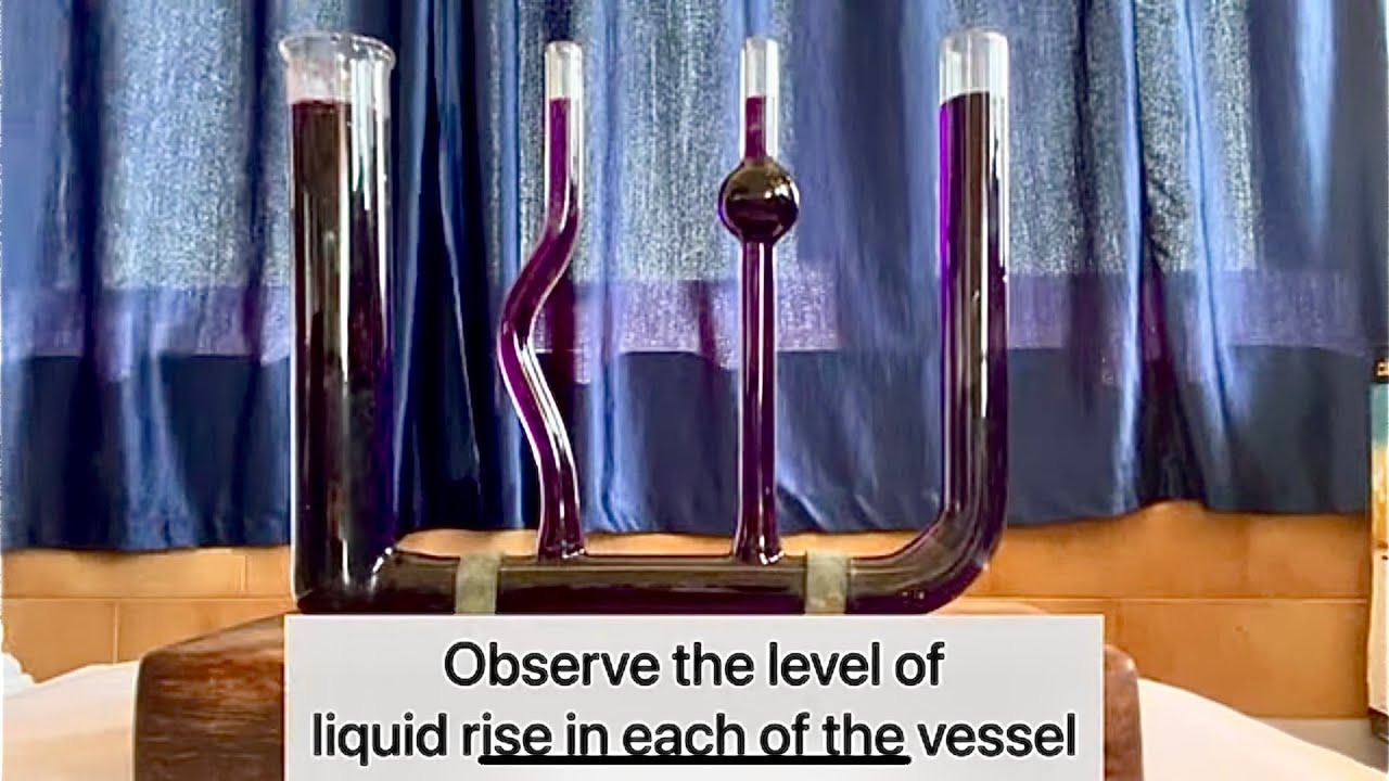 Hydrostatic Paradox