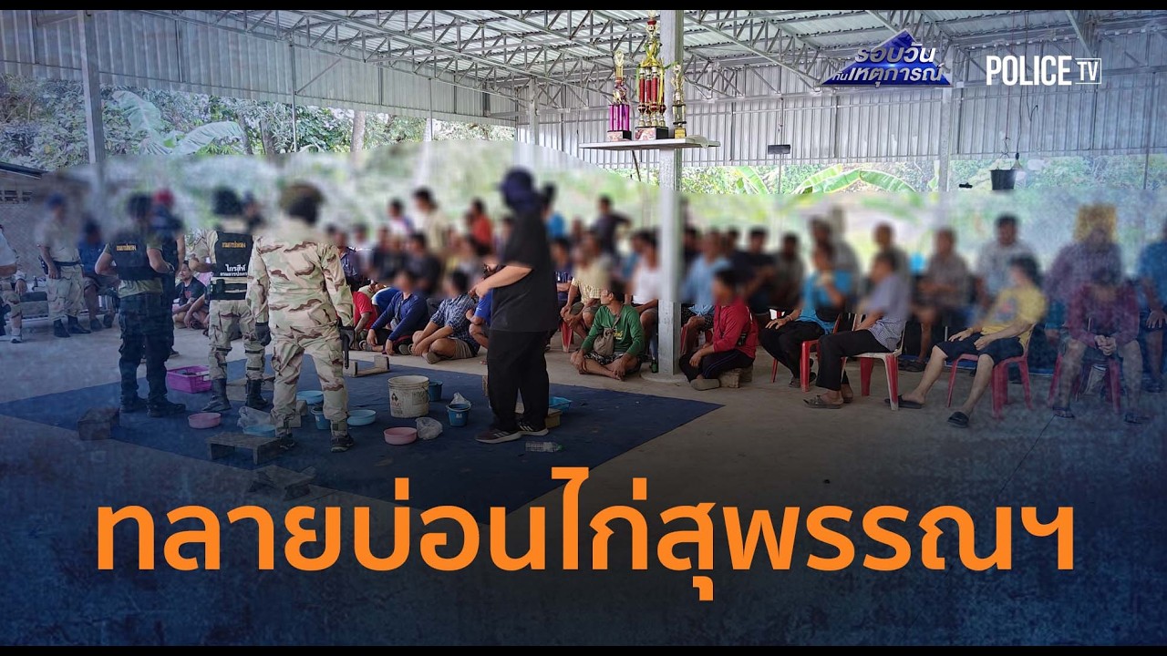 ทลายบ่อนไก่สุพรรณฯ รวบ 60 นักพนันรุ่นใหญ่ วิ่งหนีตกรั้ว  |  รอบวันทันเหตุการณ์
