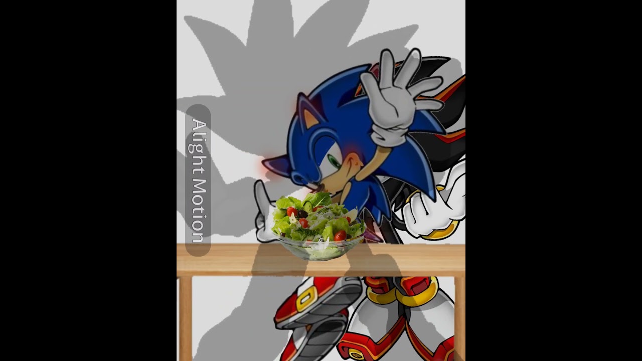 [ ɴᴏᴛ ɪɴғʀᴏɴᴛ ᴏғ ᴍʏ sᴀʟᴀᴅ!! ] #sonicthehedgehog #shadowthehedgehog #silverthehedgehog #sonadow