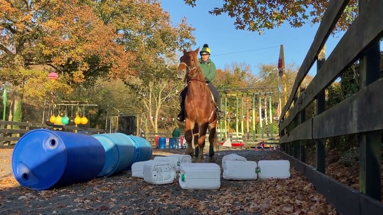 Arena Riding with Suffolk Punch Geldings Rocket & Ryan