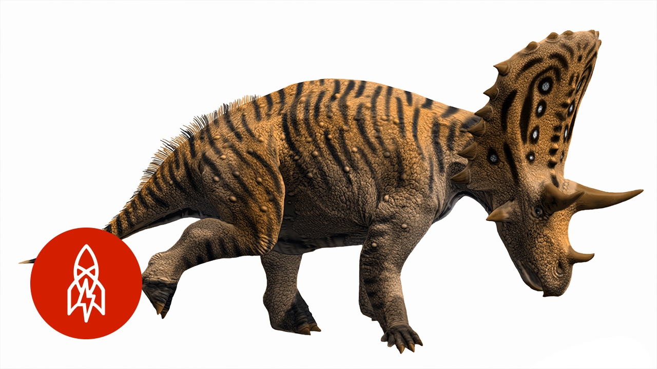 Meet Wikipedia's Resident Paleoartist