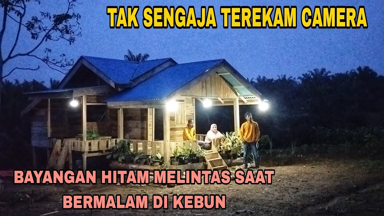TAK SENGAJA TEREKAM CAMERA BAYANGAN HITAM MELINTAS SAAT BERMALAM DI KEBUN