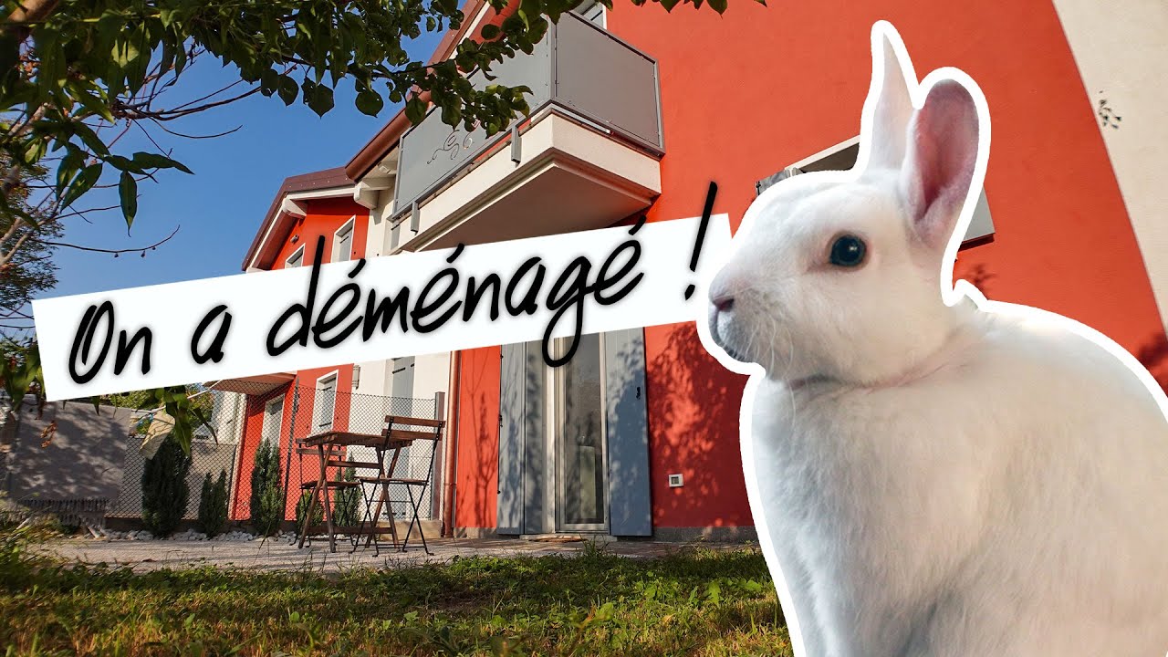 Nouvelle maison, nouvel aménagement de notre lapin Giada !